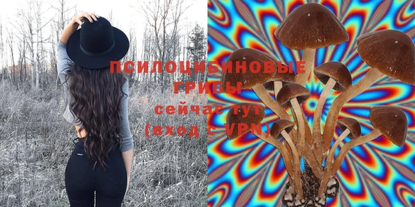 мет Майский