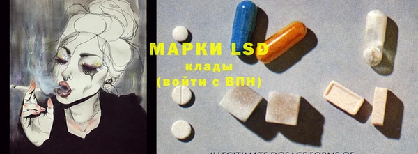mdpv Магас