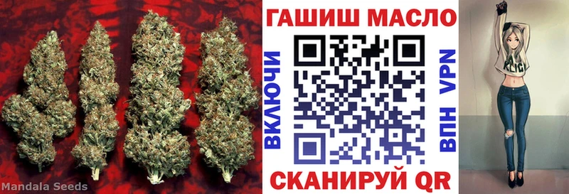 kraken зеркало Благовещенск ТГК THC oil