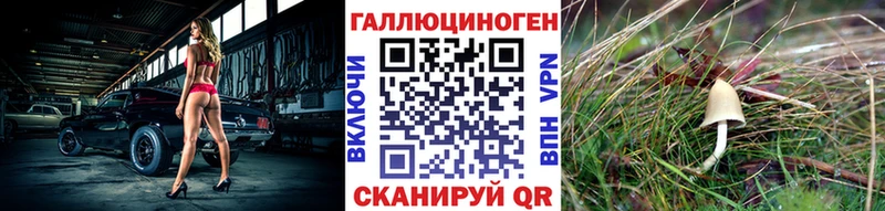 Галлюциногенные грибы Magic Shrooms  Благовещенск 