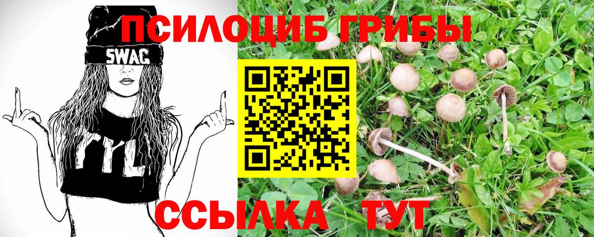 Псилоцибиновые грибы прущие грибы Благовещенск