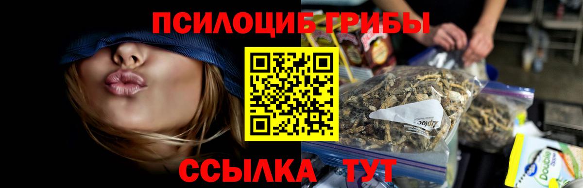 Галлюциногенные грибы Psilocybine cubensis  Вход с VPN  Благовещенск 